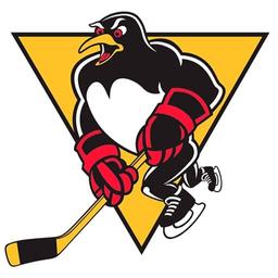 AHL Eastern Conference First Round: Wilkes-Barre Scranton Penguins vs. Lehigh Valley Phantoms - Home Game 2, Series Game 3